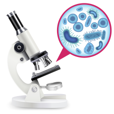 Microbiology